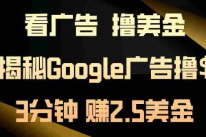 （10912期）看广告，撸美金！3分钟赚2.5美金！日入200美金不是梦！揭秘Google广告…