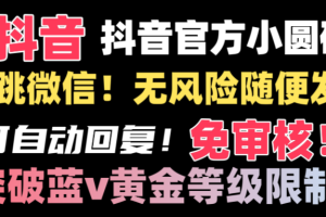 (8773期)抖音二维码直跳微信技术!站内随便发不违规!!
