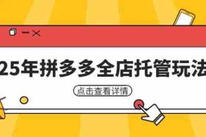 （14222期）25年拼多多全店托管玩法，矩阵动销裂变玩法如何低风险盈利 新手运营秘籍