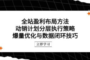 (14698期)全站盈利布局方法:动销计划分层执行策略,爆量优化与数据闭环技巧